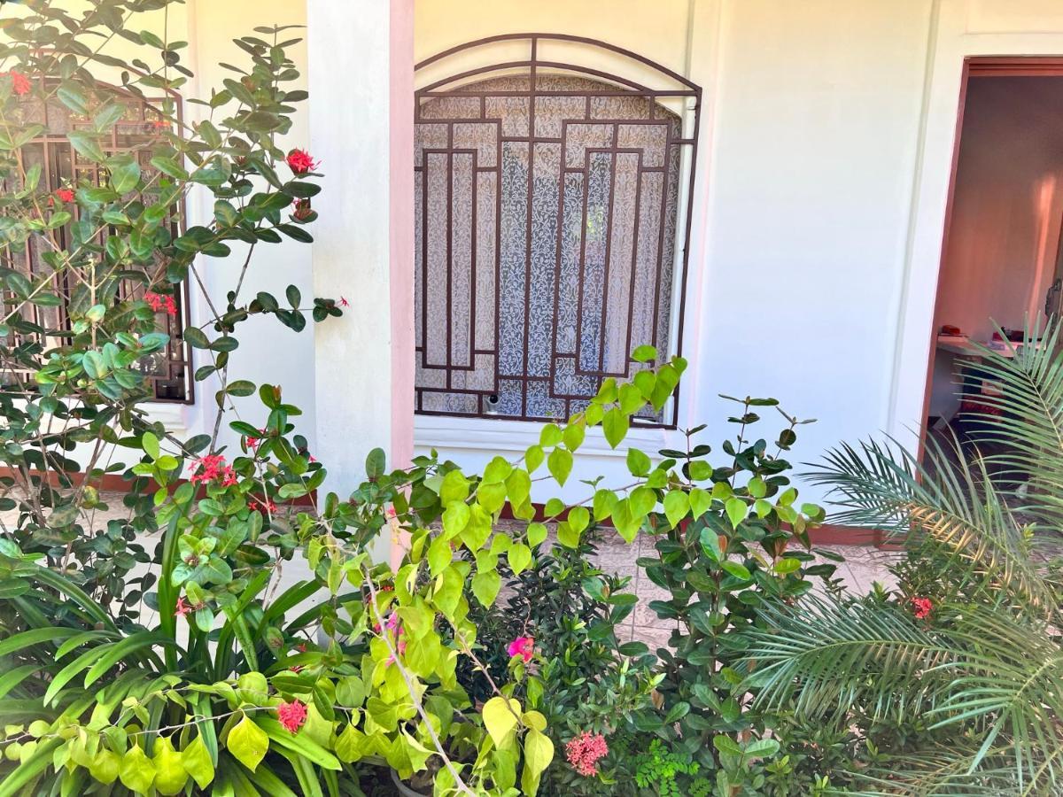 Natural Experience House Tortuguero Exterior foto
